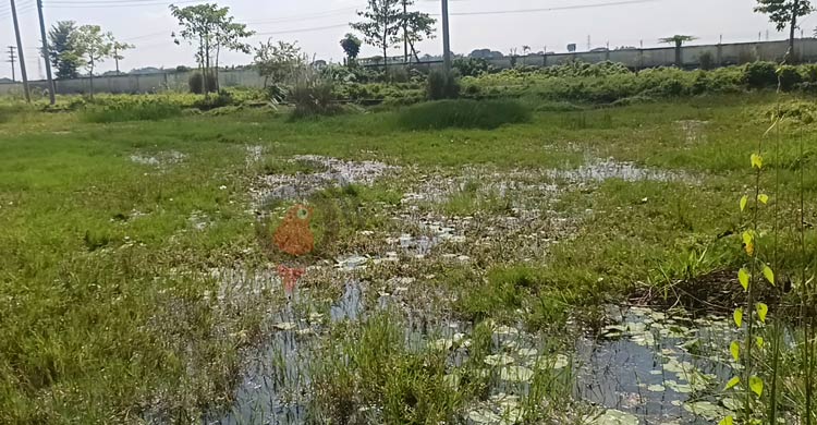 ৪২ কোটি টাকার বিসিকে কারখানা চলে ৩টি, বাকি সব আগাছা