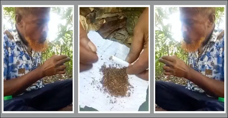 বিএনপি নেতার ইয়াবা ও গাঁজা সেবনের ভিডিও ভাইরাল