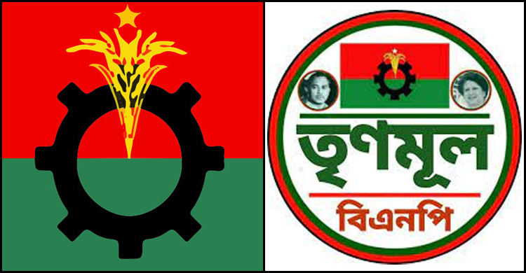 মূল বিএনপি রাজপথে তৃণমূল ভোটে