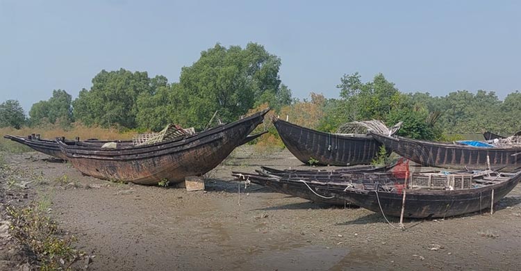 সুন্দরবনে নষ্ট হচ্ছে জব্দ হাজারো নৌকা-ট্রলার