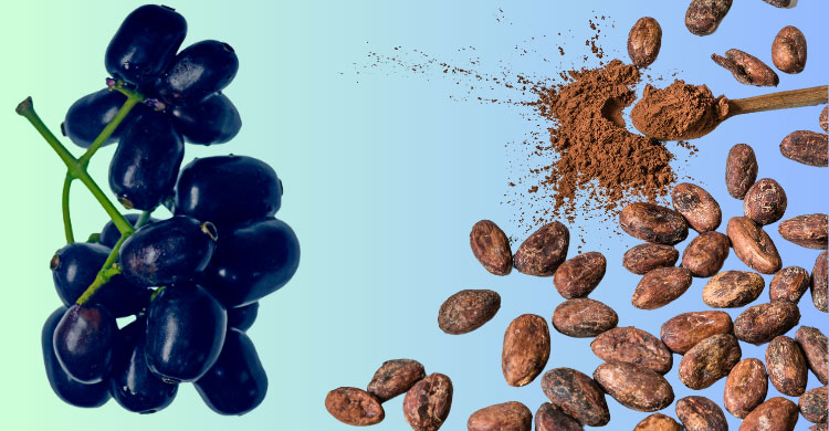 ডায়াবেটিস নিয়ন্ত্রণে থাকবে প্রাচীন আয়ুর্বেদিক উপায়ে