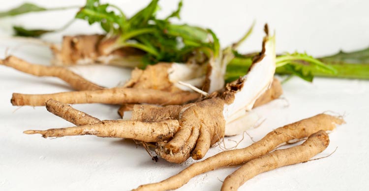 কফিতে অবিকল কফির স্বাদের শিকড়, এটি উপকারী না ক্ষতিকর