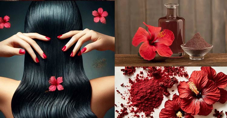 চুলে জবা ফুল কীভাবে মাখবেন, বেটে না তেলে ফুটিয়ে