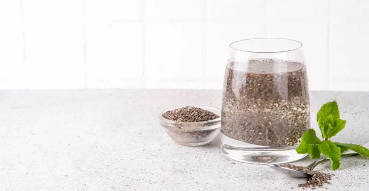 তীব্র গরমে হারানো পুষ্টি ফিরিয়ে দেবে ডাবের পানি ও চিয়া সিড