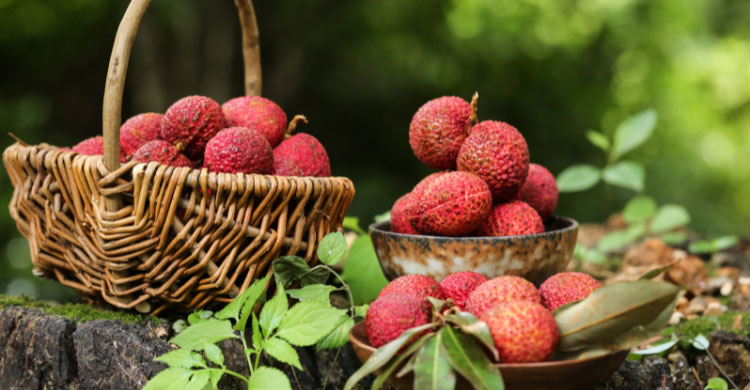 লিচু খান সাবধানে