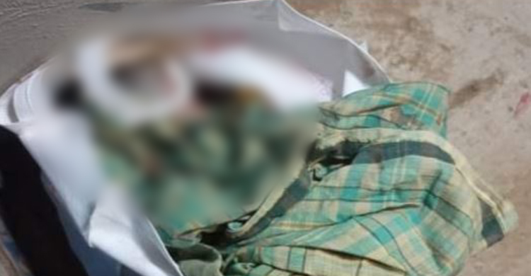 বাড়ির সামনে ফেলে যাওয়া শপিংব্যাগে মিললো নবজাতক, হাসপাতালে মৃত্যু