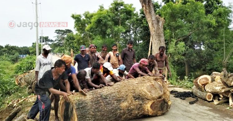 উন্নত যোগাযোগে বিপন্ন পরিবেশ