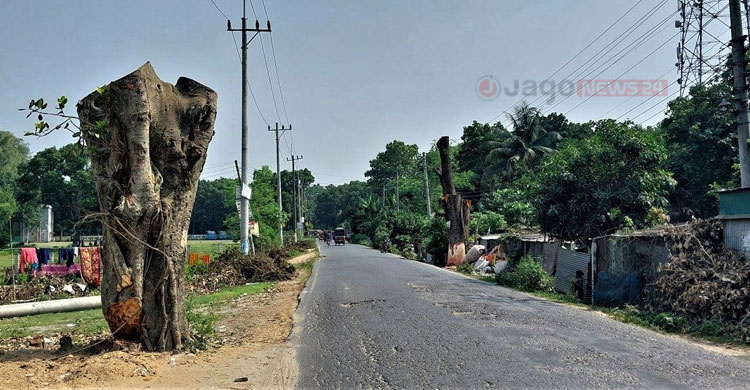 উন্নত যোগাযোগে বিপন্ন পরিবেশ
