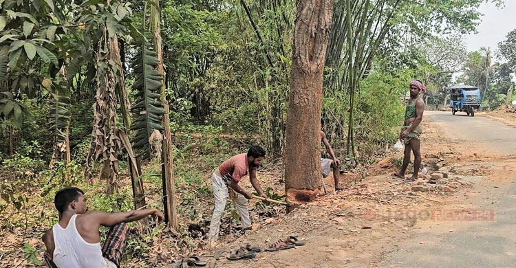 উন্নত যোগাযোগে বিপন্ন পরিবেশ