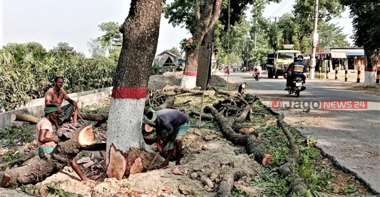 উন্নত যোগাযোগে বিপন্ন পরিবেশ