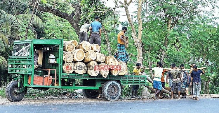 উন্নত যোগাযোগে বিপন্ন পরিবেশ
