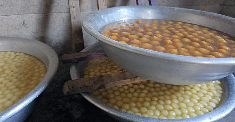 অস্বাস্থ্যকর পরিবেশে দই-মিষ্টি তৈরি, বগুড়ায় দুই কারখানাকে জরিমানা