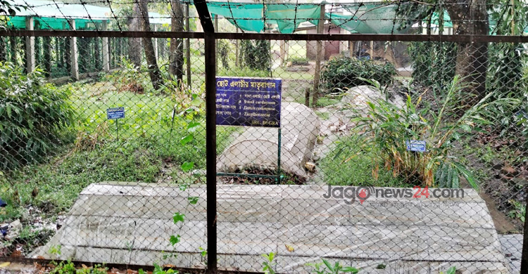 মসলা চাষে প্রযুক্তির ছোঁয়া, বদলে যাচ্ছে কৃষির চিত্র