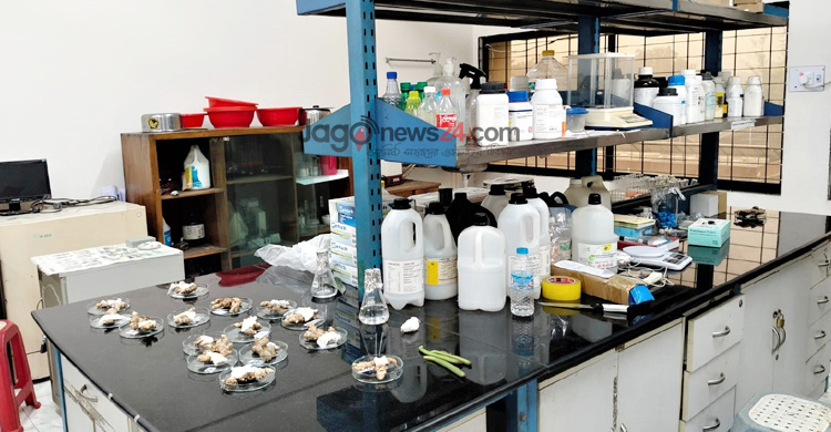 মসলা চাষে প্রযুক্তির ছোঁয়া, বদলে যাচ্ছে কৃষির চিত্র