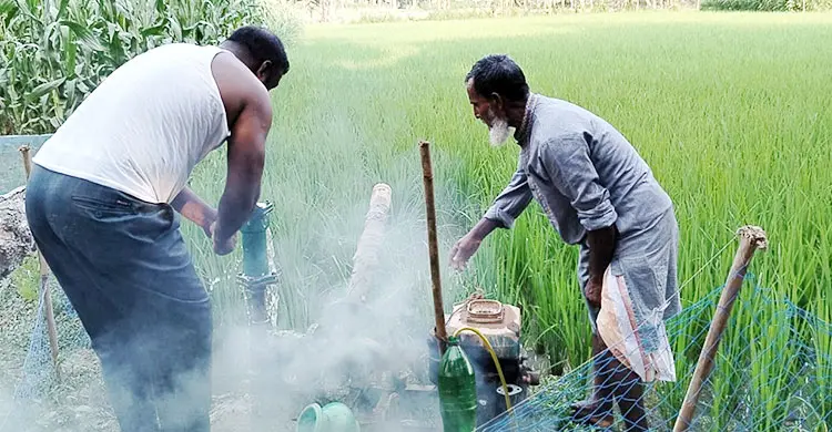 শুকিয়ে যাচ্ছে ধানের জমি, তেলের খোঁজে পাম্পে পাম্পে ঘুরছে কৃষক