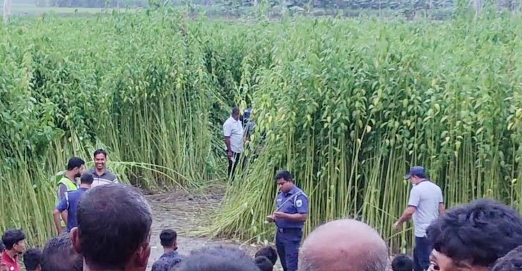 বগুড়ায় পাটক্ষেতে মিললো মানুষের কঙ্কাল