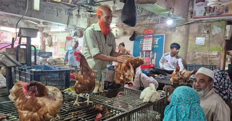 টাকা দিয়েও মিলছে না বোতলজাত সয়াবিন তেল, মুরগির দামে আগুন