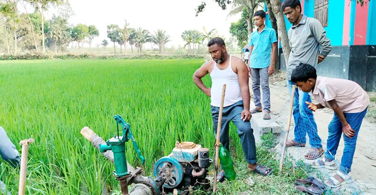 শুকিয়ে যাচ্ছে ধানের জমি, তেলের খোঁজে পাম্পে পাম্পে ঘুরছে কৃষক