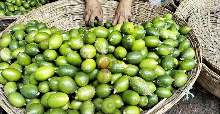 ঈদ শেষেও লাগামহীন বগুড়ার সবজি বাজার