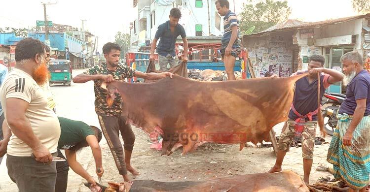 কোটি টাকার বকেয়ায় জিম্মি বগুড়ার চামড়া বাজার