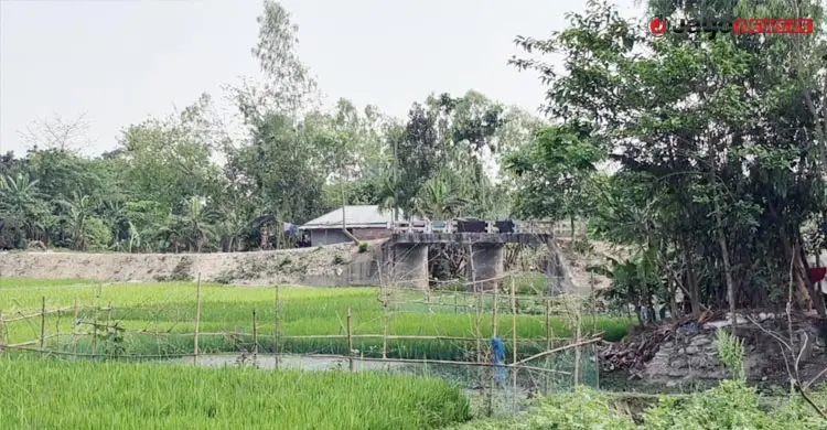 বগুড়া যাচ্ছেন প্রধানমন্ত্রী তারেক রহমান, অপেক্ষায় গাবতলীবাসী