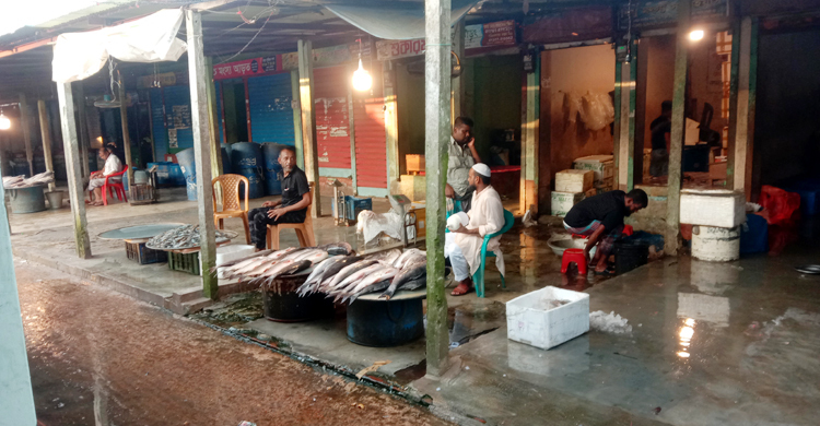 হাওরের পানি বাড়লেও মাছের দেখা মিলছে না