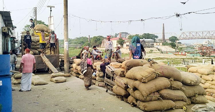 ট্রলারযোগে ভৈরবের মোকামে আসছে ধান, কম দামে হতাশ চাষিরা