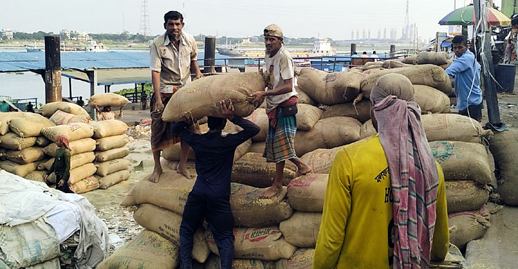 ট্রলারযোগে ভৈরবের মোকামে আসছে ধান, কম দামে হতাশ চাষিরা
