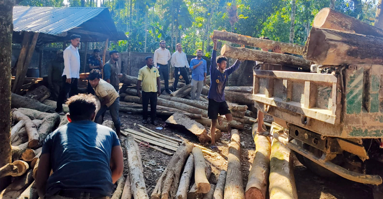 মুক্ত আকাশে ডানা মেললো শতাধিক সাদা বক