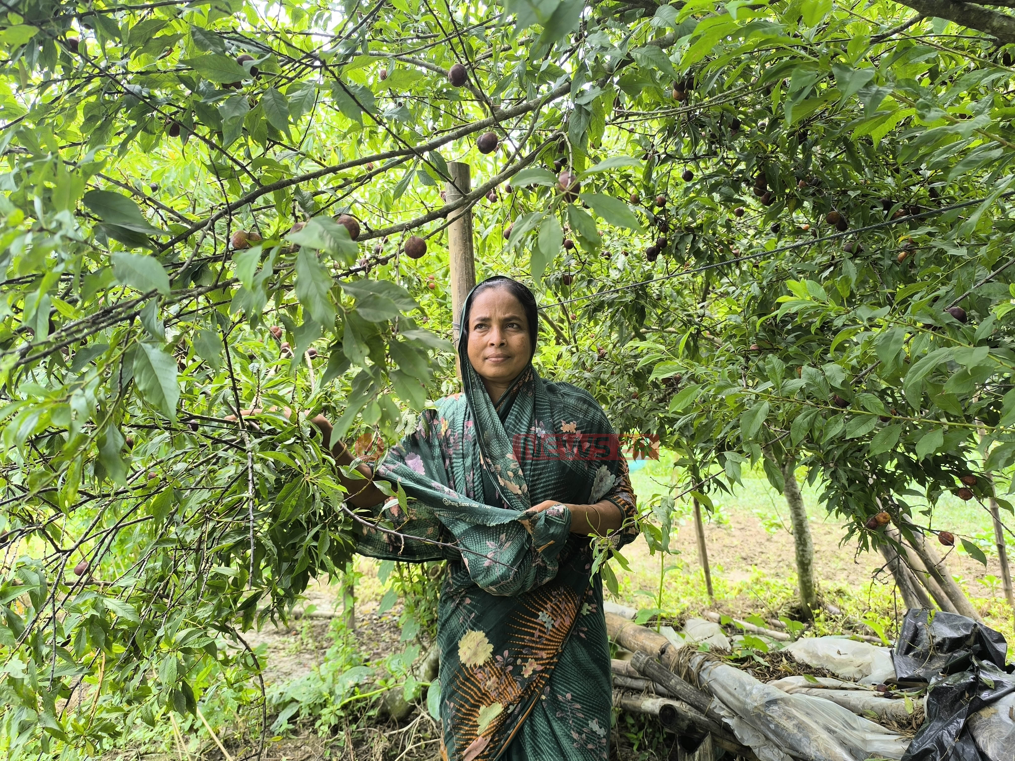 bokhara