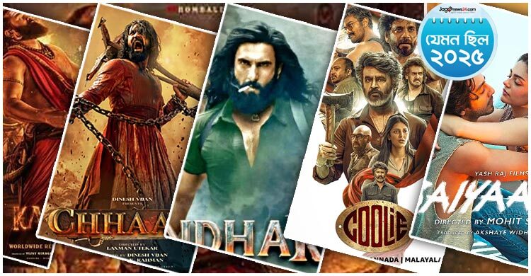 ২০২৫ সালে বলিউডের যেসব সিনেমা সবচেয়ে বেশি আয় করেছে