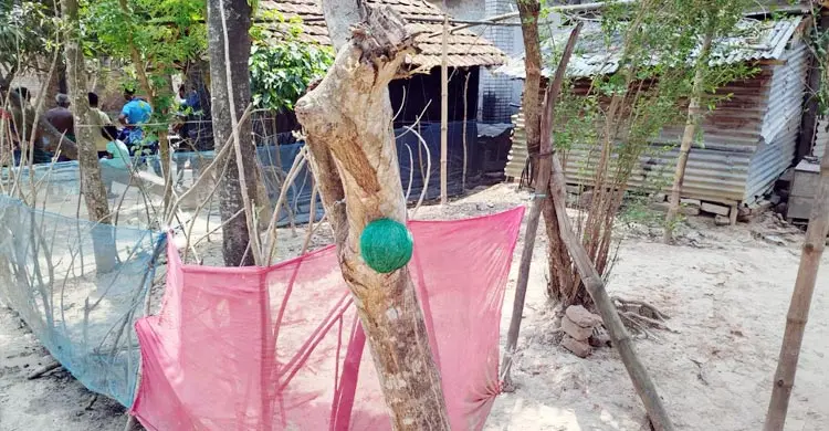 বাড়ির গেটে ঝুলানো ছিল ‘বোমা সদৃশ’ তিন বস্তু, এলাকায় আতঙ্ক