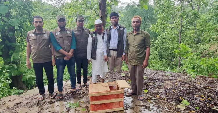 কাপ্তাই জাতীয় উদ্যানে লজ্জাবতী বানর অবমুক্ত