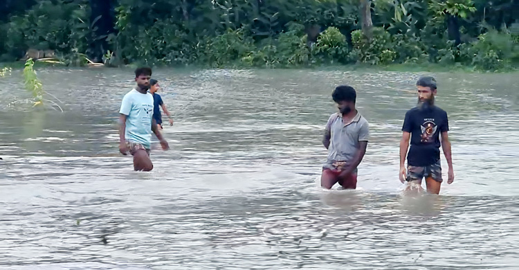 বরগুনায় বেড়িবাঁধ ভেঙে গ্রাম প্লাবিত, আতঙ্কে এলাকাবাসী