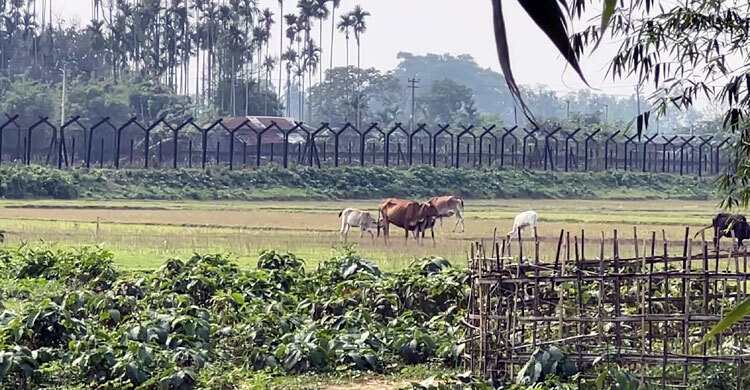 ছবি তুলতে গিয়ে নো ম্যানস ল্যান্ডে আটক ২ কিশোরকে ফেরত দিলো বিএসএফ