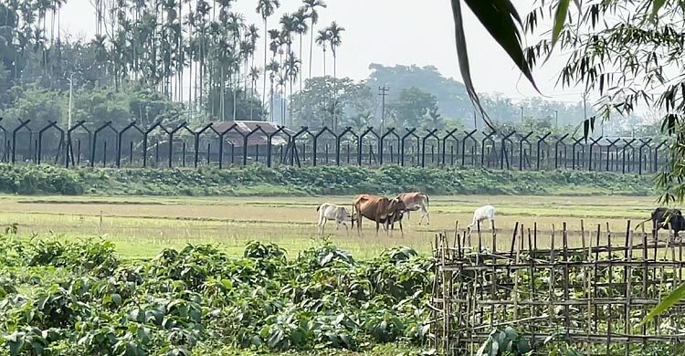 মৌলভীবাজার সীমান্ত দিয়ে রোহিঙ্গাসহ ৮ জনকে ঠেলে দিয়েছে বিএসএফ