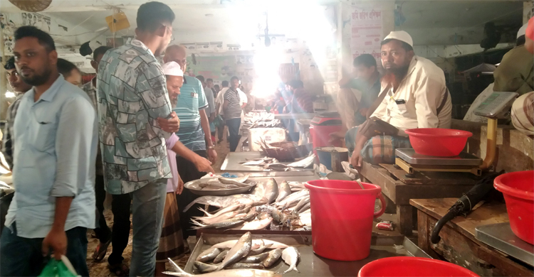 রাতে ইলিশের দামে কিছুটা স্বস্তি
