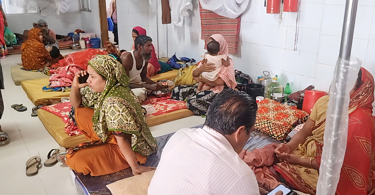 হটস্পট বরগুনায় আবারো বাড়ছে ডেঙ্গু