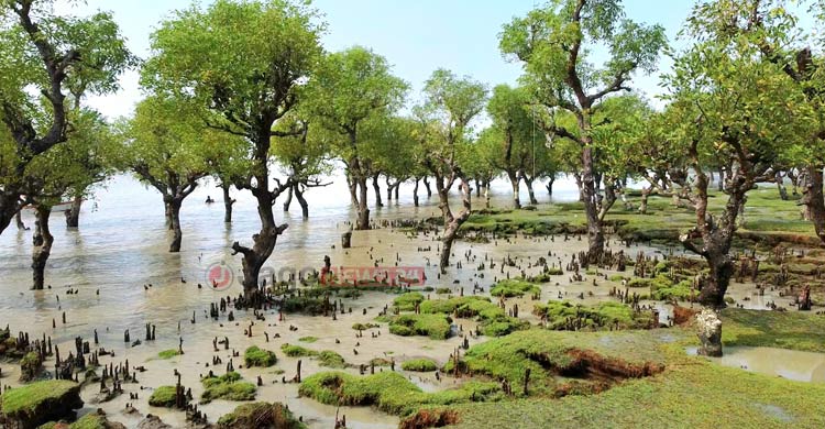 পর্যটনের নতুন সম্ভাবনা বরগুনার নিদ্রার চর