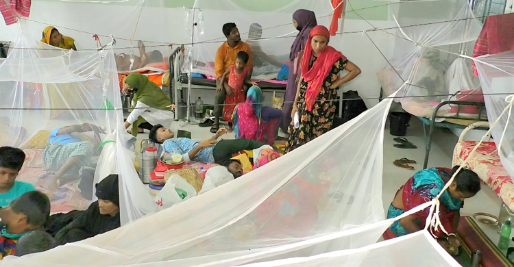 হটস্পট বরগুনায় আবারো বাড়ছে ডেঙ্গু