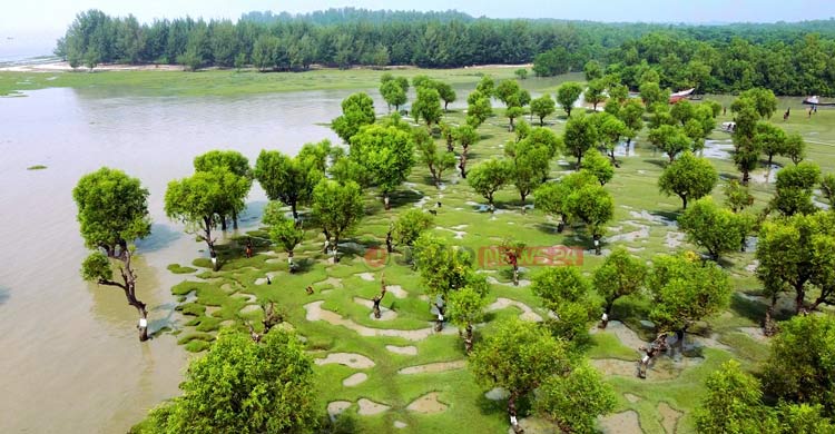 পর্যটনের নতুন সম্ভাবনা বরগুনার নিদ্রার চর
