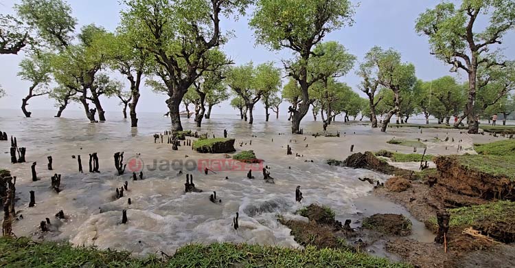 পর্যটনের নতুন সম্ভাবনা বরগুনার নিদ্রার চর