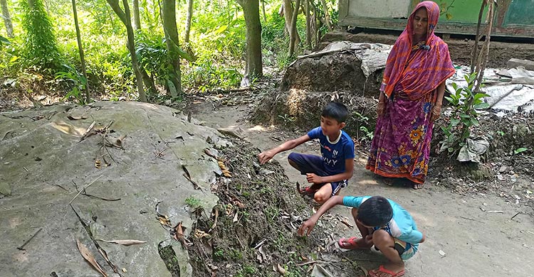 মা ঘরছাড়া বাবা কবরে, দাদির ভিক্ষাই সম্বল দুই ভাইয়ের