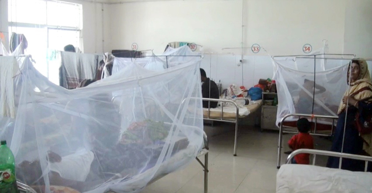 বরিশালে ২০৯ জনের ডেঙ্গু শনাক্ত, একজনের মৃত্যু