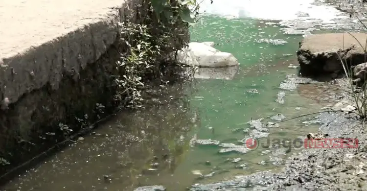 দু&rsquo;বছরে বিসিসির মশা মারার ব্যয় ২১ লাখ টাকা থেকে বেড়ে ৬ কোটি