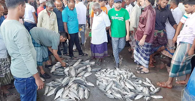 ইলিশ নেই আড়তে, অলস সময় কাটছে মালিক-শ্রমিকদের