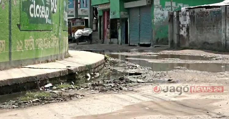 দু&rsquo;বছরে বিসিসির মশা মারার ব্যয় ২১ লাখ টাকা থেকে বেড়ে ৬ কোটি