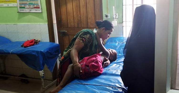 ব্রাহ্মণবাড়িয়ায় কুকুরের কামড়ে আহত ১০