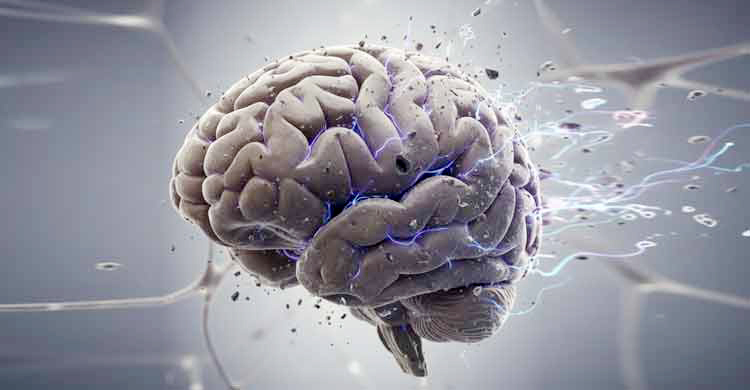 বয়সের প্রভাবে মস্তিষ্কের কোথায় ক্ষয় শুরু হয়