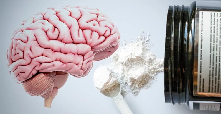 Muscle-building supplement Creatine boosts brainpower too